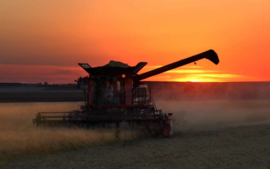 Excelente notícia: PIB do agro cresce 8,36%